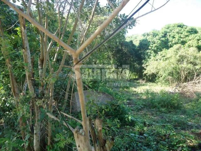 Terreno / Lote para Venda em Rio de Janeiro/RJ Campo Grande