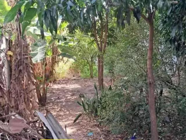 Terreno / Lote para Venda em Rio de Janeiro/RJ Cascadura