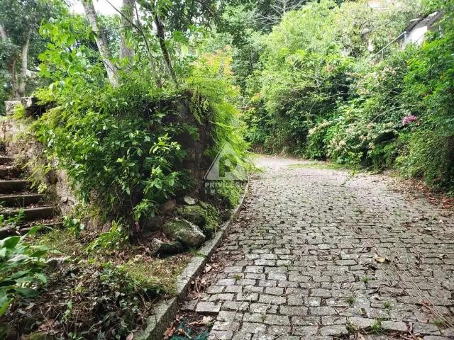 Terreno / Lote para Venda em Rio de Janeiro/RJ Cosme Velho