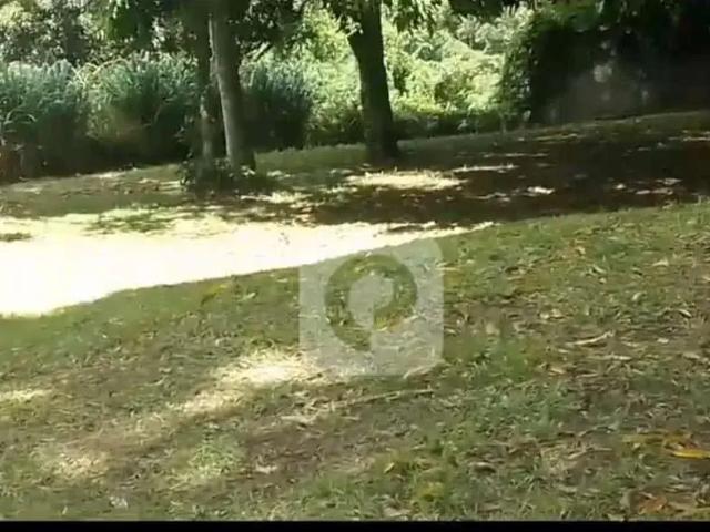 Terreno / Lote para Venda em Rio de Janeiro/RJ Cosme Velho