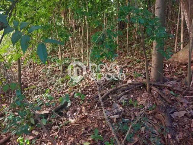 Terreno / Lote para Venda em Rio de Janeiro/RJ Freguesia Jacarepaguá