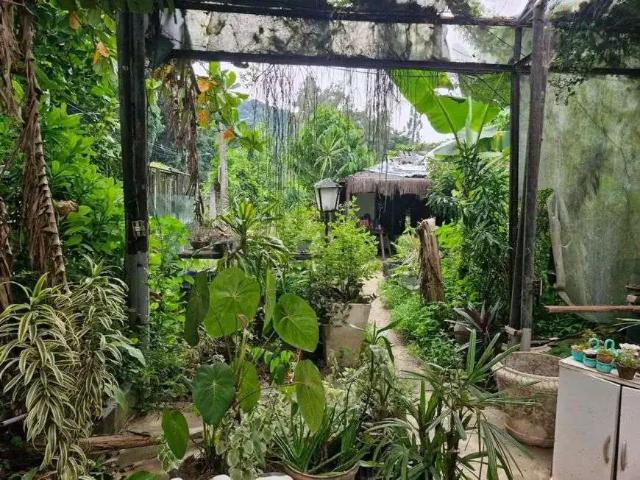 Terreno / Lote para Venda em Rio de Janeiro/RJ Freguesia Jacarepaguá
