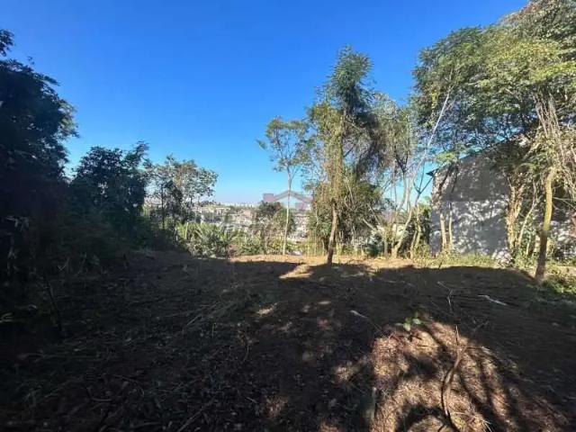 Terreno / Lote para Venda em Rio de Janeiro/RJ Freguesia Jacarepaguá