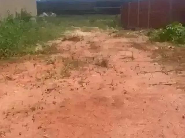 Terreno / Lote para Venda em Rio de Janeiro/RJ Guaratiba