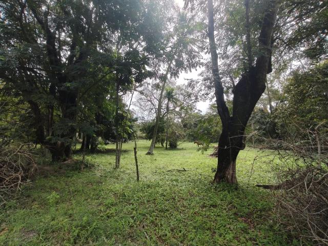 Terreno / Lote para Venda em Rio de Janeiro/RJ Guaratiba