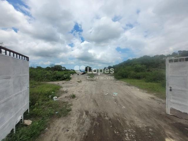 Terreno / Lote para Venda em Rio de Janeiro/RJ Guaratiba