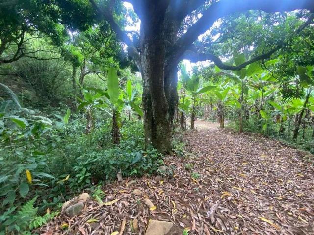 Terreno / Lote para Venda em Rio de Janeiro/RJ Guaratiba