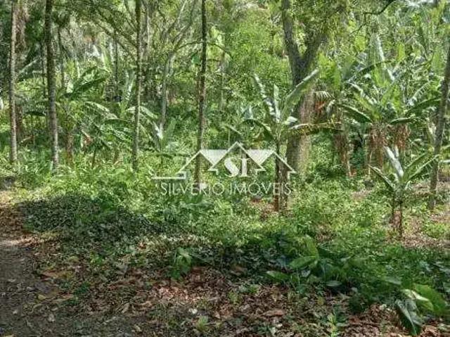 Terreno / Lote para Venda em Rio de Janeiro/RJ Guaratiba