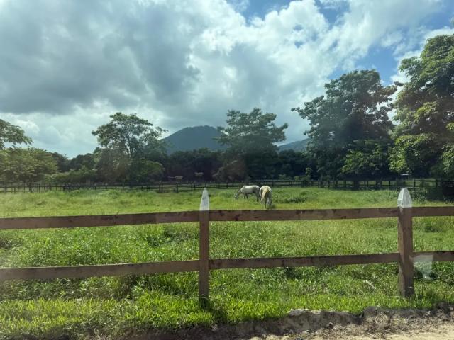 Terreno / Lote para Venda em Rio de Janeiro/RJ Guaratiba