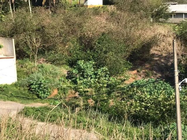Terreno / Lote para Venda em Rio de Janeiro/RJ Guaratiba
