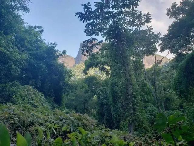 Terreno / Lote para Venda em Rio de Janeiro/RJ Gávea