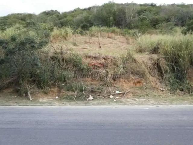 Terreno / Lote para Venda em Rio de Janeiro/RJ Jardim Sulacap