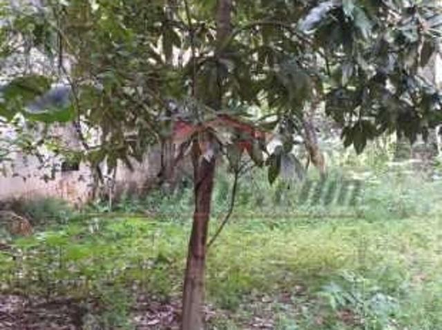 Terreno / Lote para Venda em Rio de Janeiro/RJ Pechincha
