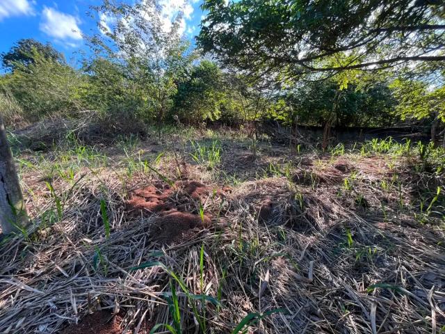 Terreno / Lote para Venda em Rio de Janeiro/RJ Pedra de Guaratiba