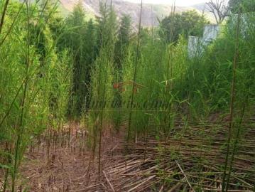 Terreno / Lote para Venda em Rio de Janeiro/RJ Praça Seca