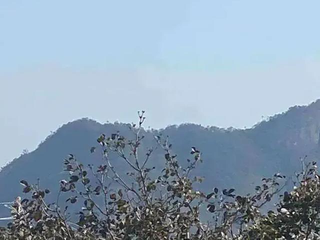 Terreno / Lote para Venda em Rio de Janeiro/RJ Recreio dos Bandeirantes
