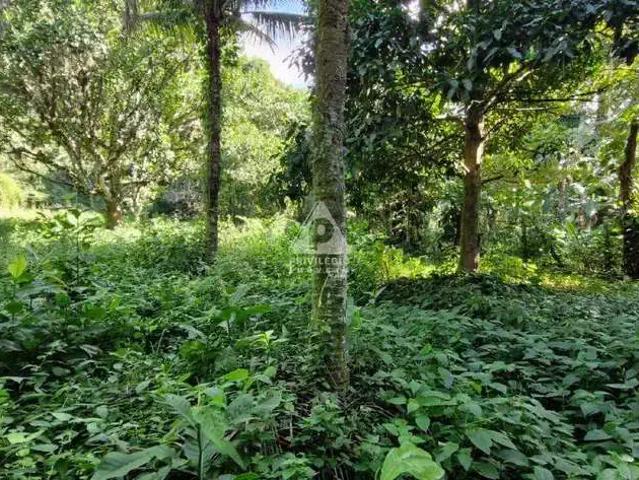 Terreno / Lote para Venda em Rio de Janeiro/RJ Recreio dos Bandeirantes