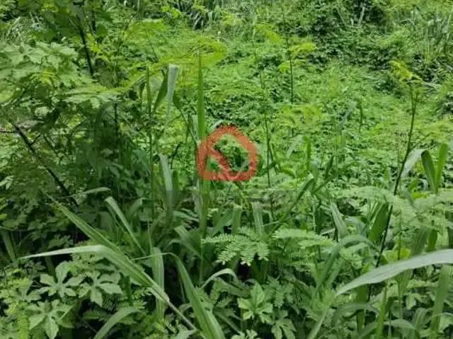 Terreno / Lote para Venda em Rio de Janeiro/RJ Recreio dos Bandeirantes