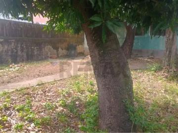Terreno / Lote para Venda em Rio de Janeiro/RJ Riachuelo