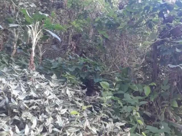 Terreno / Lote para Venda em Rio de Janeiro/RJ São Conrado