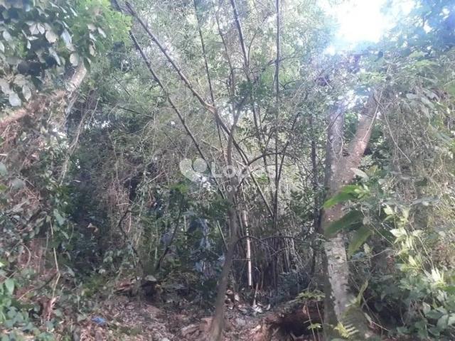 Terreno / Lote para Venda em Rio de Janeiro/RJ São Conrado
