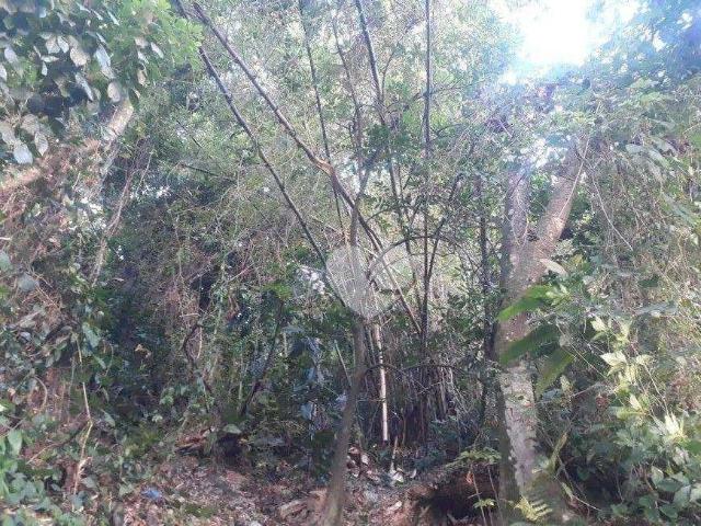 Terreno / Lote para Venda em Rio de Janeiro/RJ São Conrado