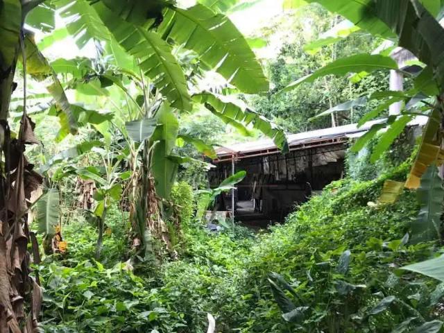 Terreno / Lote para Venda em Rio de Janeiro/RJ Taquara