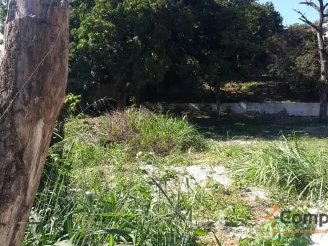 Terreno / Lote para Venda em Rio de Janeiro/RJ Taquara