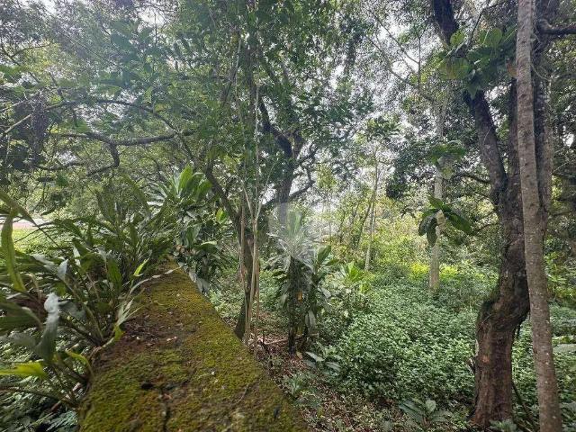Terreno / Lote para Venda em Rio de Janeiro/RJ Vargem Grande