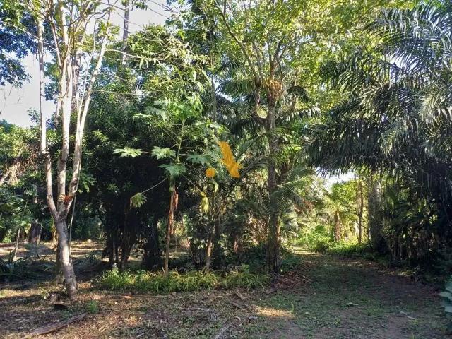 Terreno / Lote para Venda em Rio de Janeiro/RJ Vargem Grande