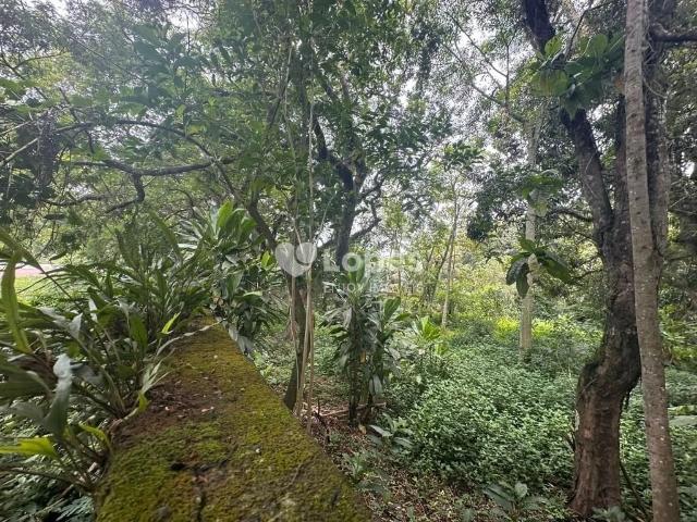 Terreno / Lote para Venda em Rio de Janeiro/RJ Vargem Grande