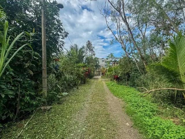 Terreno / Lote para Venda em Rio de Janeiro/RJ Jacarepaguá