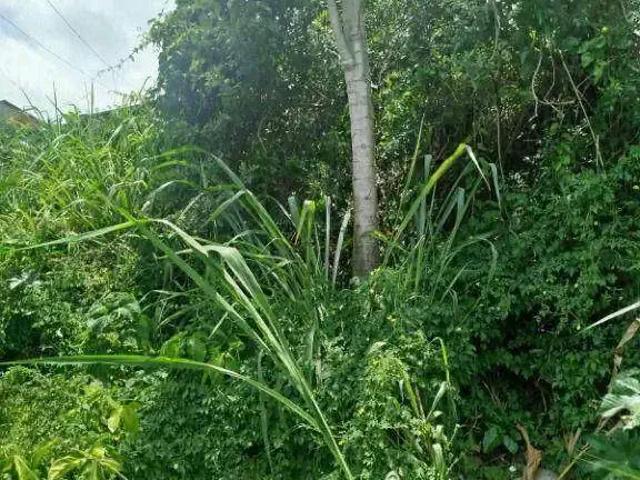 Terreno / Lote para Venda em Rio de Janeiro/RJ Vila Valqueire