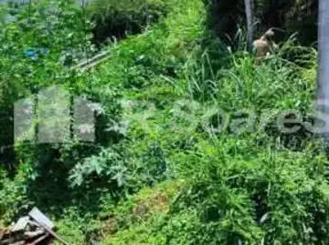 Terreno / Lote para Venda em Rio de Janeiro/RJ Vila Valqueire