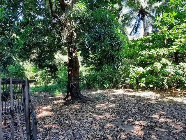 Terreno / Lote para Venda em Rio de Janeiro/RJ Vila Valqueire