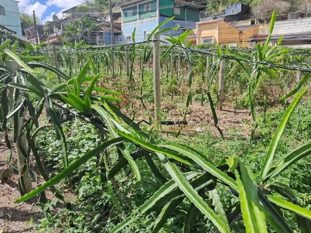 Terreno / Lote para Venda em Rio de Janeiro/RJ Vila Valqueire