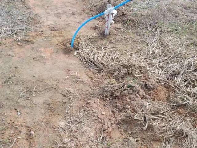 Terreno / Lote para Venda em Rio Largo/AL Tabuleiro do Pinto