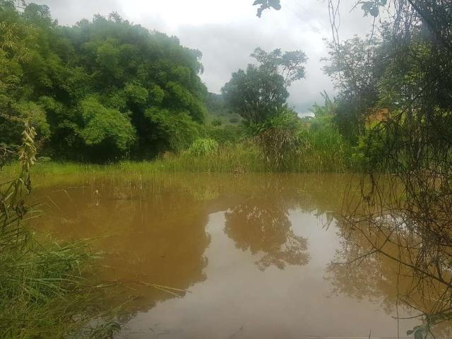 Terreno / Lote para Venda em Rio Manso/MG Zona Rural