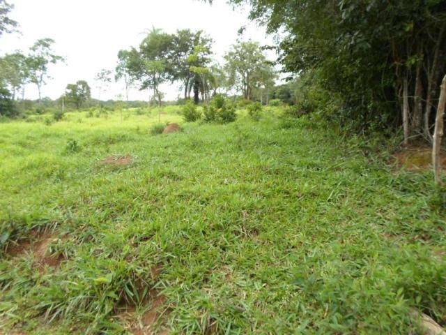 Terreno / Lote para Venda em Rio Manso/MG Zona Rural