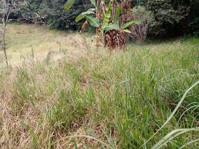 Terreno / Lote para Venda em Rio Manso/MG Souza