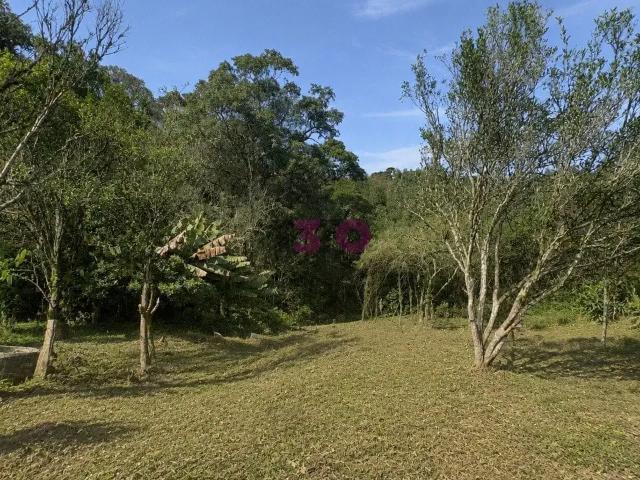 Terreno / Lote para Venda em Rio Negro/PR Zona Rural