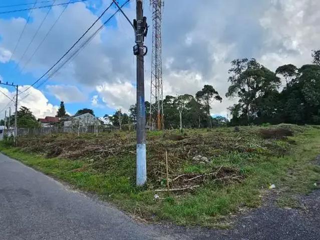 Terreno / Lote para Venda em Rio Negrinho/SC Vista Alegre