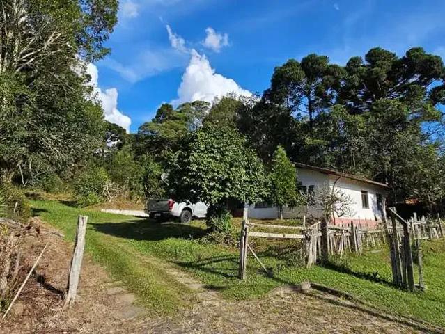Terreno / Lote para Venda em Rio Negrinho/SC Alegre