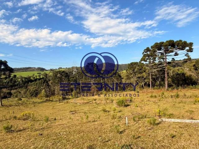 Terreno / Lote para Venda em Rio Negrinho/SC Barro Preto