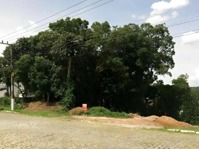 Terreno / Lote para Venda em Rio Negrinho/SC Bela Vista