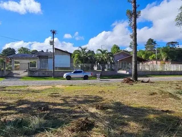 Terreno / Lote para Venda em Rio Negrinho/SC Cruzeiro