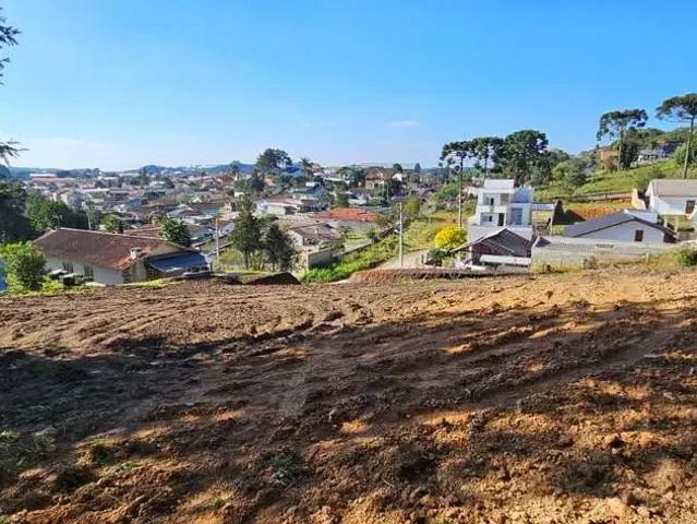 Terreno / Lote para Venda em Rio Negrinho/SC Cruzeiro
