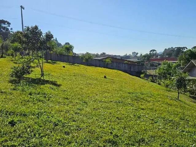 Terreno / Lote para Venda em Rio Negrinho/SC Cruzeiro
