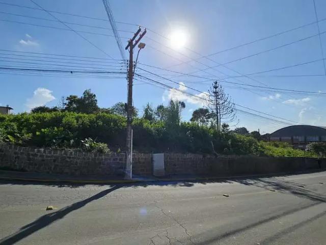 Terreno / Lote para Venda em Rio Negrinho/SC Cruzeiro