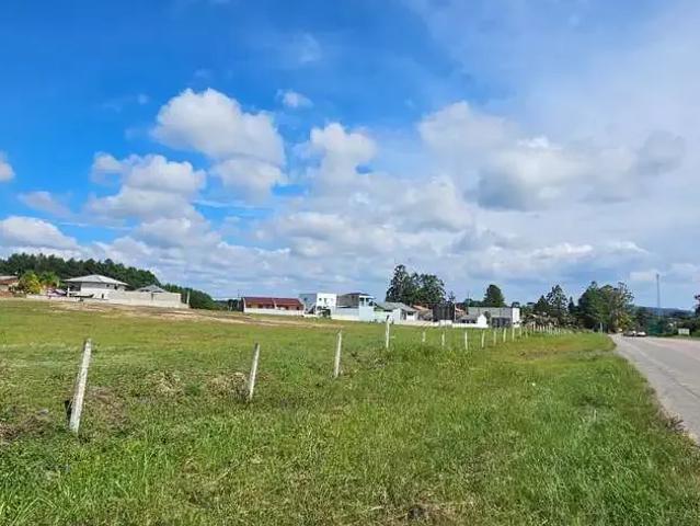 Terreno / Lote para Venda em Rio Negrinho/SC Quitandinha